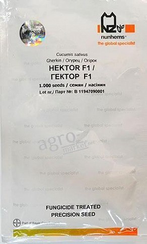 Огірок "Гектор F1" ТМ "Nunhems" 500шт