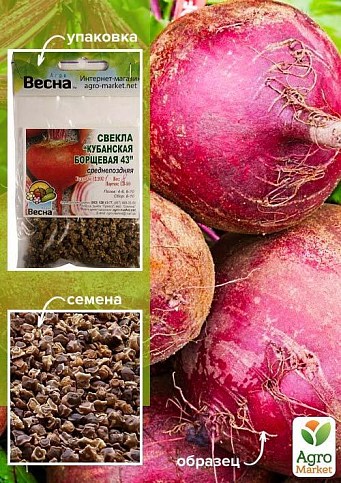 Свекла "Кубанская борщевая 43" (Зипер) ТМ "Весна" 6г