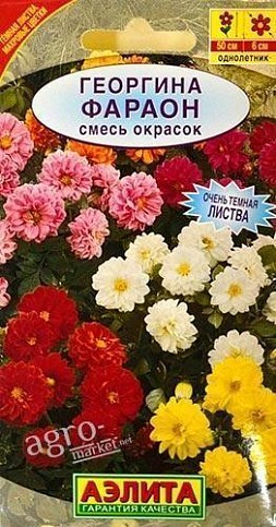 Жоржина "Фараон" суміш забарвлень ТМ "АЕЛІТА" 0.3г