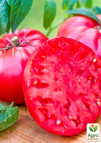 Томат "Микадо розовый" ТМ "Весна" 100г - фото 2