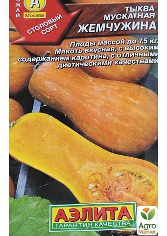 Тыква "Жемчужина" ТМ "Аэлита" 1г