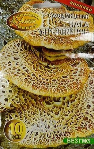 Сухий міцелій "Чага" ТМ "Алекс SEEDS" 10г