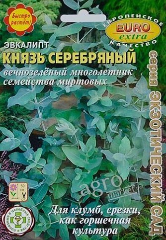 Евкаліпт "Князь срібний" ТМ "Аеліта" 5шт