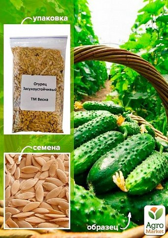 Огірок "Засухостійкий" ТМ "Весна" 100г