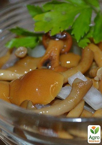 Сухой зерновой мицелий "Опенок зимний" 100г - фото 2