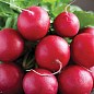 Редис "Sweet Candy" ТМ "Vesna Select" 2г