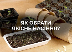 Як вибрати якісне насіння? - корисні статті про садівництво від Agro-Market