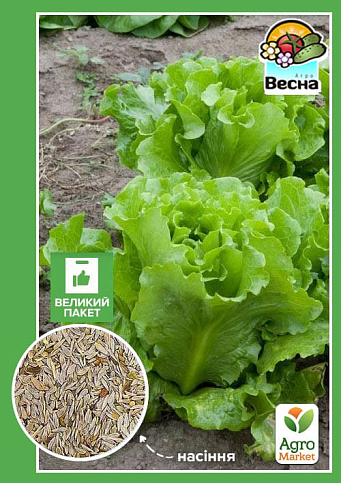 Салат "Одеський Кучерявець" (Великий пакет) ТМ "Весна" 3г