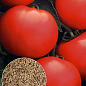 На развес Томат "Сверхранний" ТМ "Весна" цена за 2г