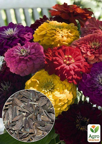 На развес Циния смесь ТМ "Весна" цена за 4г