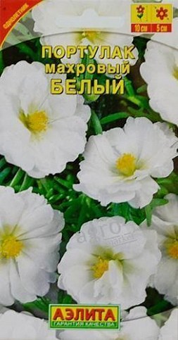 Портулак махровий "Білий" ТМ "АЕЛІТА" 0.05г