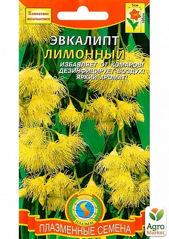Евкаліпт лимонний ТМ "Плазмові насіння" 3шт NEW