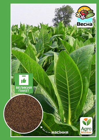 Насіння Тютюн "Курильний" (Великий пакет) ТМ "Весна" 0.5г