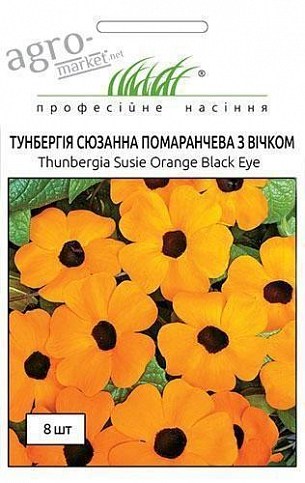 Тунбергия "Сюзанна помаранчева з вічком" ТМ "Hem Zaden" 8шт