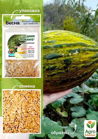 Дыня "Аликанте" (Зипер) ТМ "Весна" 3г