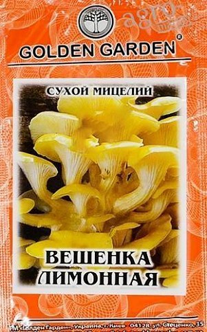 Сухий міцелій "Глива Лимонна" ТМ "Golden Garden" 10г