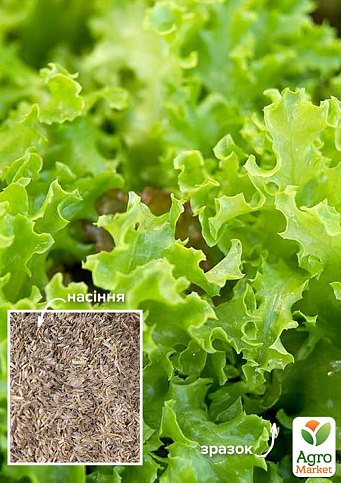 На развес Салат "Застольный" ТМ "Весна" цена за 8г