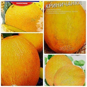 Комплект семян дыни "Элитная" 5 уп