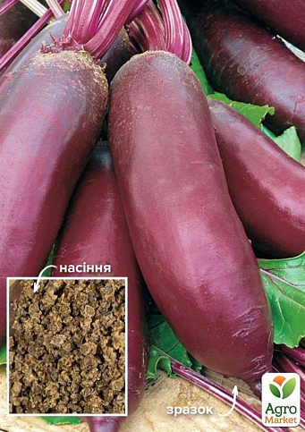 На развес Свекла "Козак" ТМ "Весна" цена за 10г