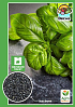 Базилик "Зеленый " (Большой пакет) ТМ "Весна" 1г