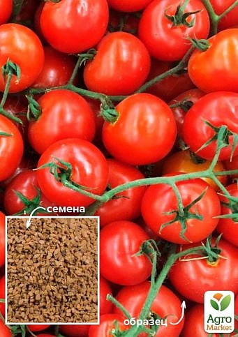 Томат "Черри красный" ТМ "Весна" 100г