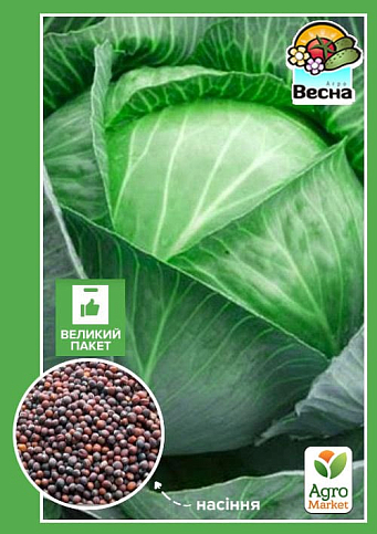 Капуста "Кам'яна голова" (Великий пакет) ТМ "Весна" 3г
