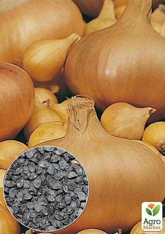 На развес Лук "Штутгартен Ризен" ТМ "Весна" цена за 5г