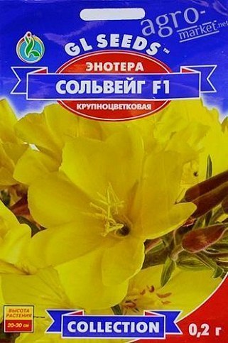 Энотера "Сольвейг F1" ТМ "GL SEEDS"  0.2г
