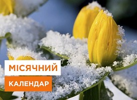 Сприятливі та несприятливі дні для садових робіт у лютому - Agro-Market