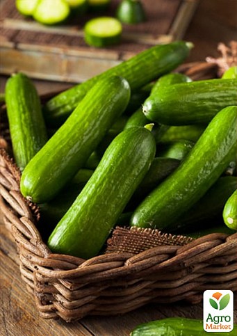 Комплект семян на развес "Вкус лета" 10уп
