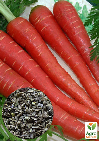 На развес Морковь "Мармеладка" ТМ "Весна" цена за 10г