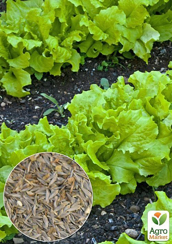 На развес Салат "Тайфун" ТМ "Весна" цена за 8г