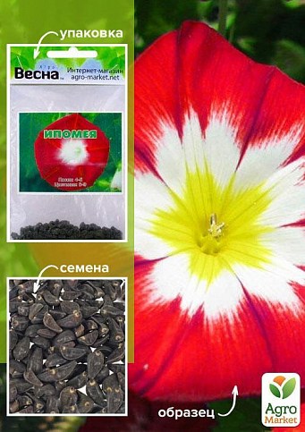 Ипомея красная (Зипер) ТМ "Весна" 1г