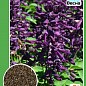 Сальвія фіолетова ТМ "Весна" 0.2г