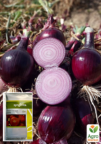 Лук "Дарко F1" ТМ "Syngenta" 50000шт