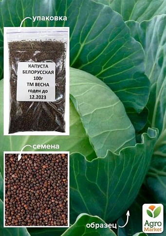 Капуста "Білоруська" ТМ "Весна" 100г