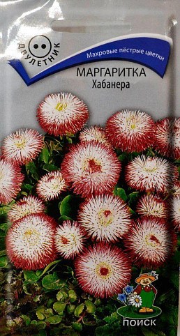 Маргаритка "Хабанера" ТМ "Поиск" 15шт