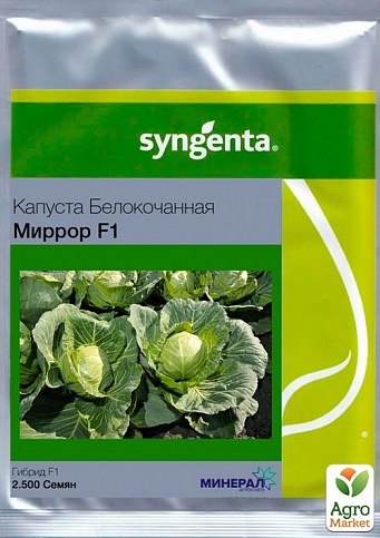 Капуста "Мірор F1" ТМ "Syngenta" 2500шт