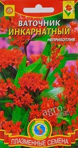 Ваточник "Инкарнатный" ТМ "Плазмас" 9шт