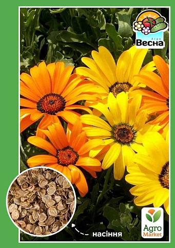 Диморфотека низкорослая "Выемчатая" ТМ "Весна" 0.3г