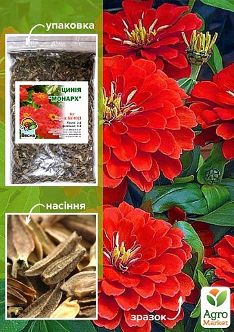 Циния георгиноцветковая "Монарх" ТМ "Весна" 100г NEW
