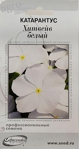 Катарантус "Хітвейв білий" ТМ "Будинок насіння" 15шт