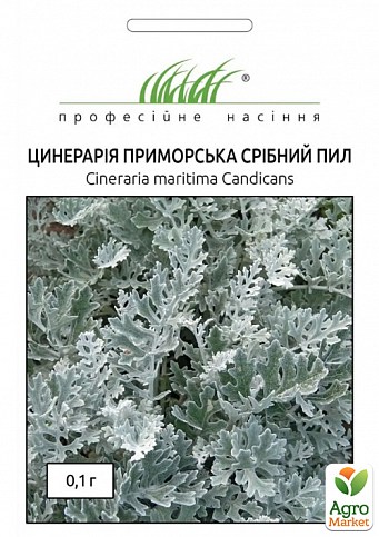 Цинерария приморская "Серебряная пыль" ТМ "Hem Zaden" 0.1г
