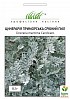 Цинерарія приморська "Срібний пил" ТМ "Професійне насіння" 0,1г