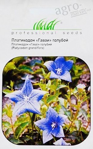 Платикодон голубой "Гаваи" ТМ "Hem Zaden" 0.1г