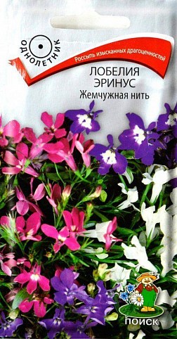 Лобелія "Перлова нитка ерінус" ТМ "Пошук" 0.1г