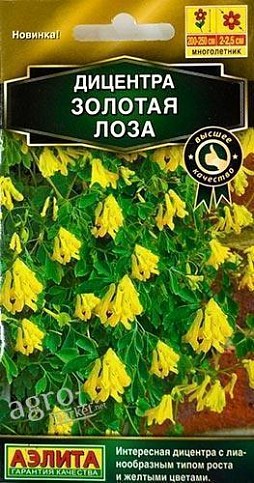 Дицентра "Золотая лоза" ТМ "Аэлита" 5шт
