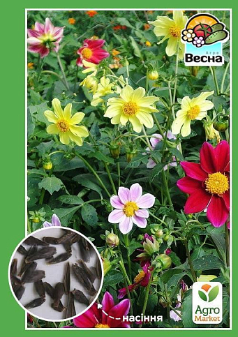 Георгина "Веселые ребята" ТМ "Весна" 0.2г