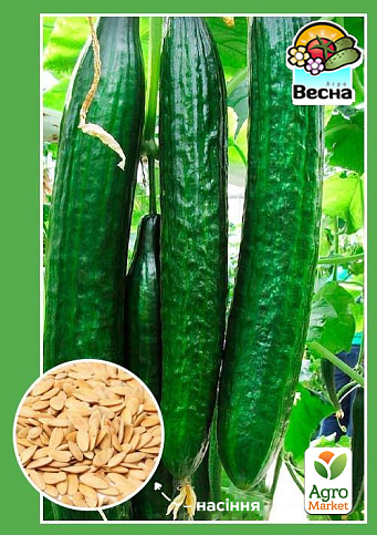 Огурец "Крокодил Гена F1" (Новый пакет) ТМ "Весна" 0.25г