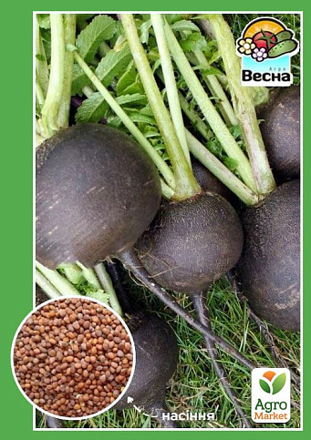 Редька "Черная зимняя" ТМ "Весна" 2г